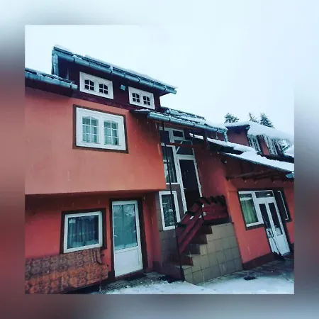 Casa Dorel * Arieseni
